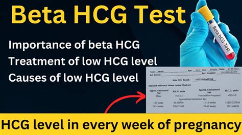 beta blood test|Everything About HCG Levels in Pregnancy .